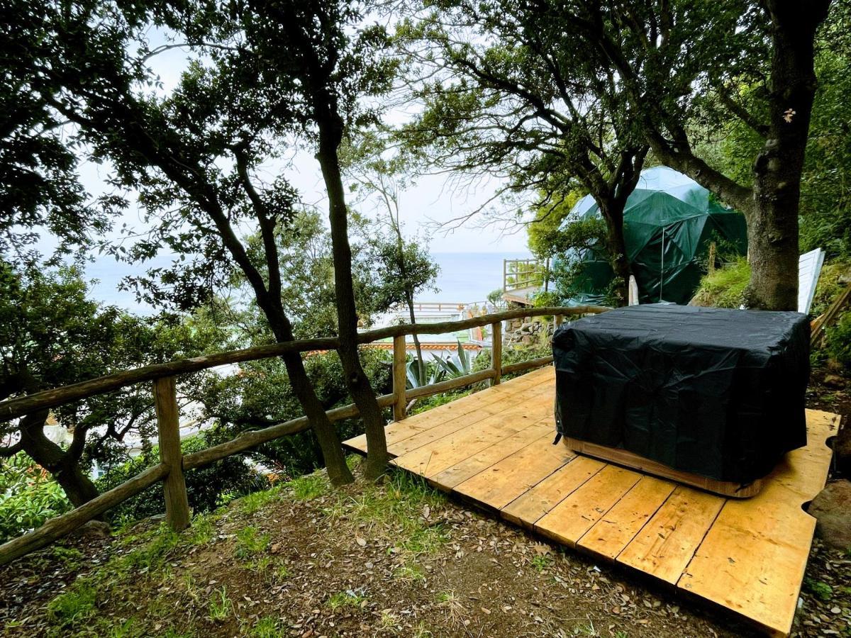 Eremo Di Montevergine Ischia Apartments Forio di Ischia 외부 사진