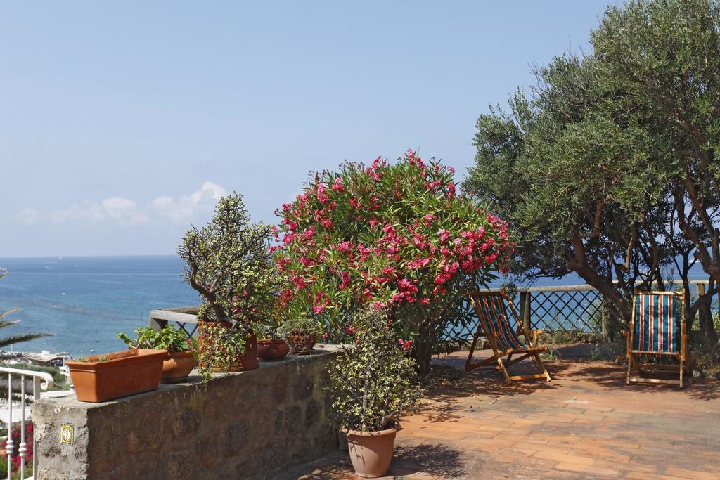 Eremo Di Montevergine Ischia Apartments Forio di Ischia 외부 사진