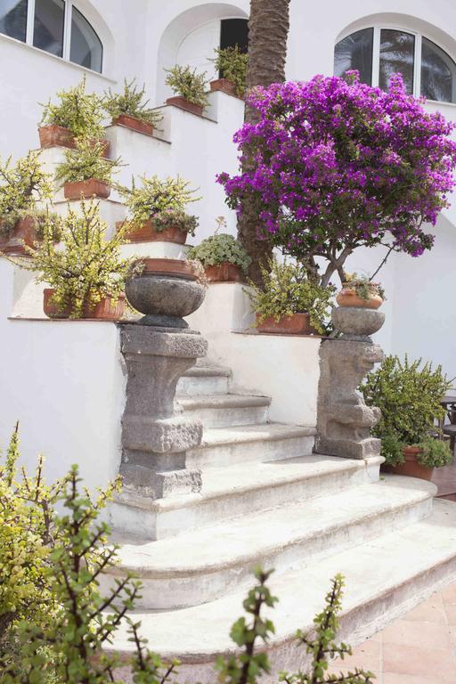 Eremo Di Montevergine Ischia Apartments Forio di Ischia 외부 사진